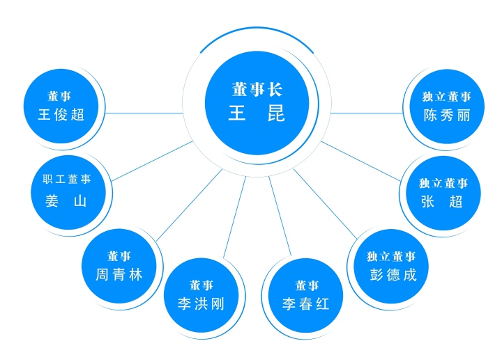 公司董事結(jié)構(gòu)-2025(1).jpg